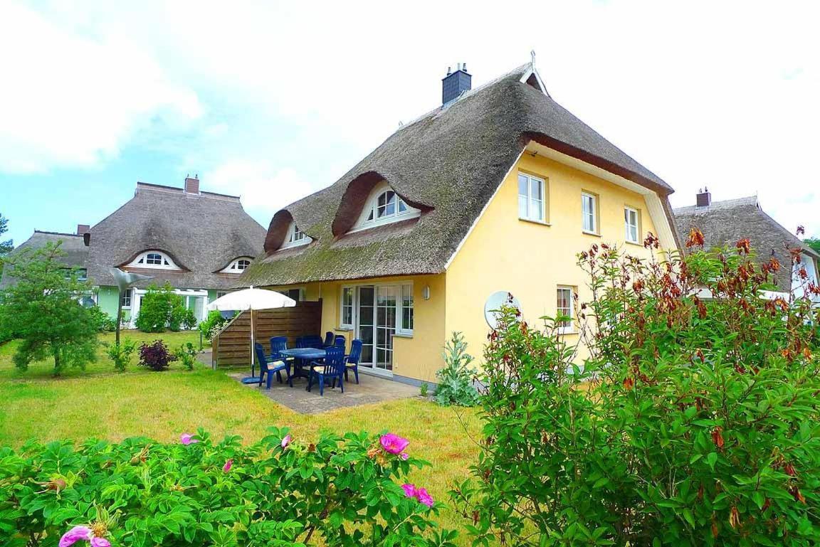 Ferienhaus An Der Alten Waldschaenke Ws-11A Born Bagian luar foto